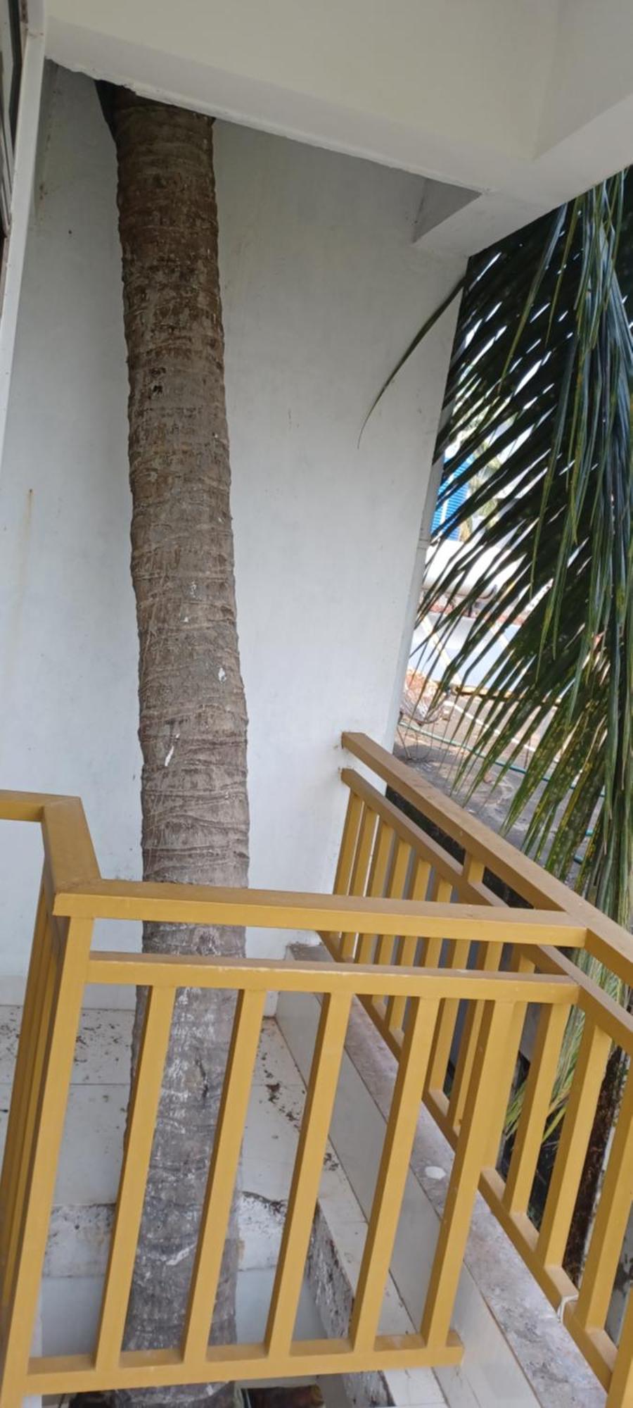 Prakash Holiday Inn Arambol Esterno foto